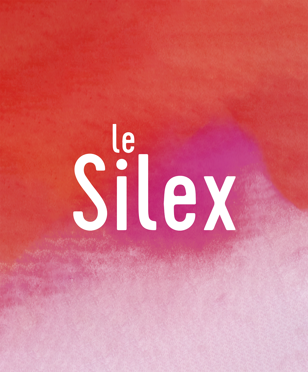 logo_silexfinal_bricole_small